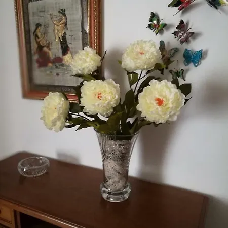 Panorama Sulla Valle D'itria Feriehus